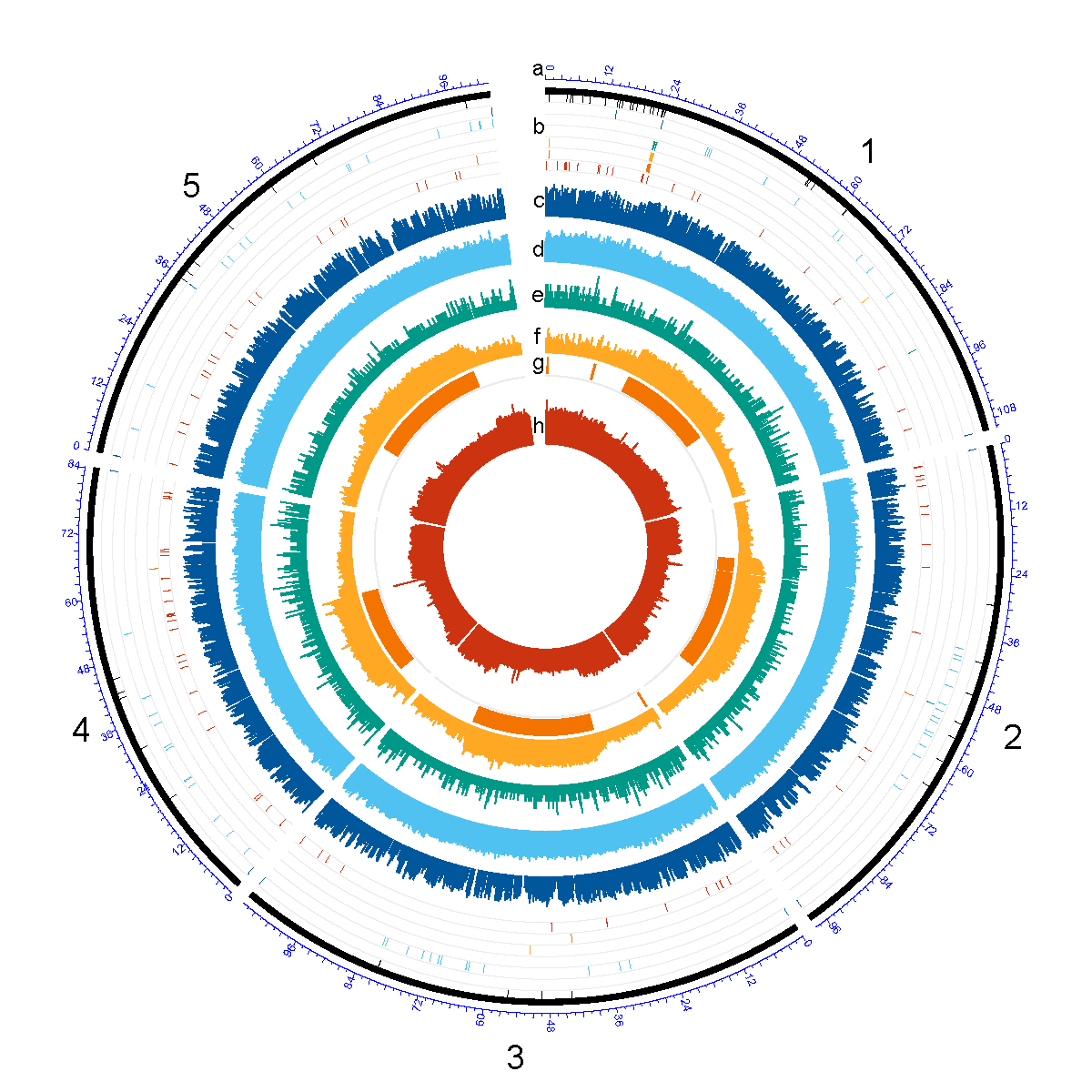Evolutionary Consequences of Unusually Large Pericentric TE-rich Regions in the Genome of a Neotropical Fig Wasp